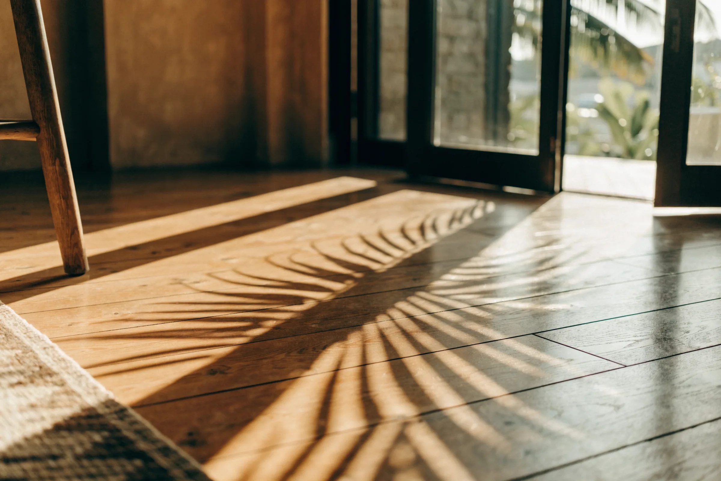 Palm-leaf shadows falling across a plank wood floor, with a rug corner and a stool leg by open doors